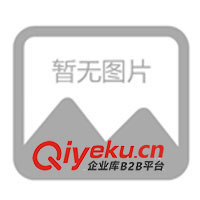 供應瓦倫蒂仕休閑時尚男式T恤、男裝T恤 服裝